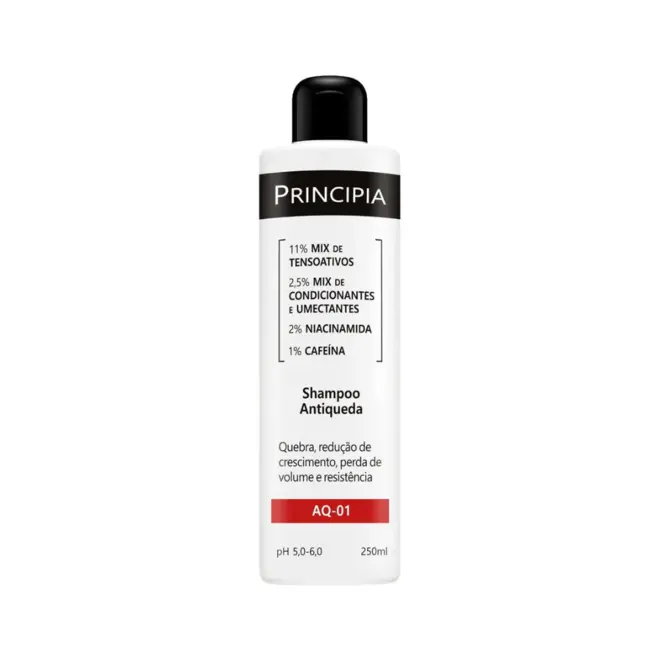 PRINCIPIA SHAMPOO ANTIQUEDA  AQ-01 250ML